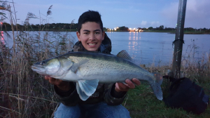 Vissen op snoekbaars 